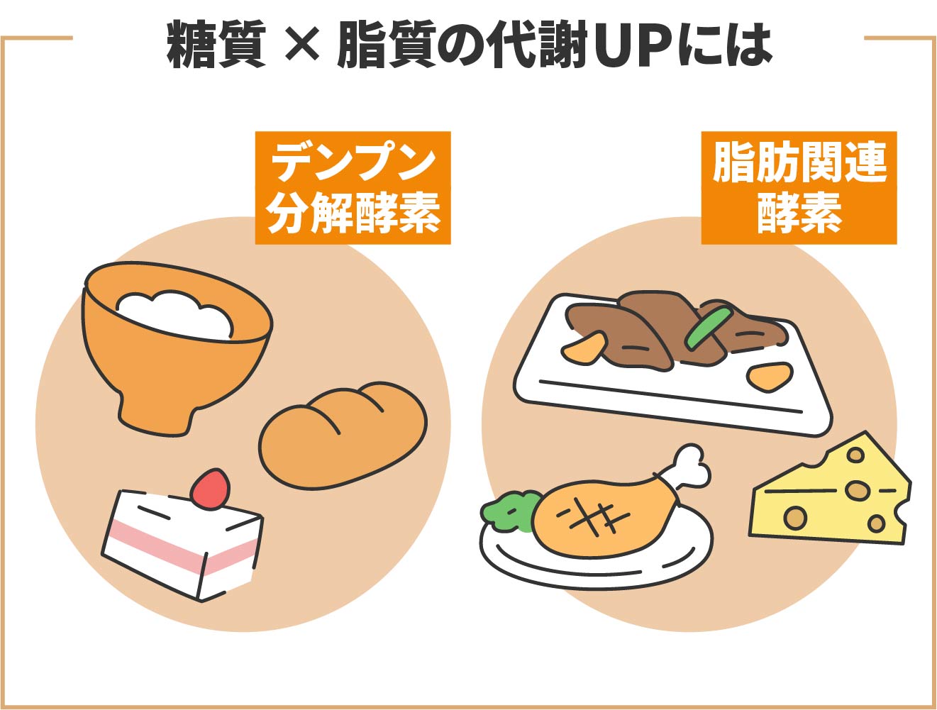 生酵素サプリメントのおすすめ人気ランキング【2025年】 | マイ