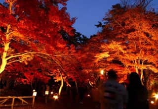 自然豊かな景色と温泉を楽しみたいなら長瀞エリア