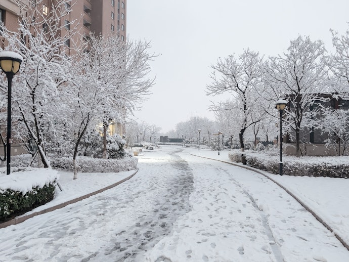 雪がよく降る地域なら即効性があるものをチョイス