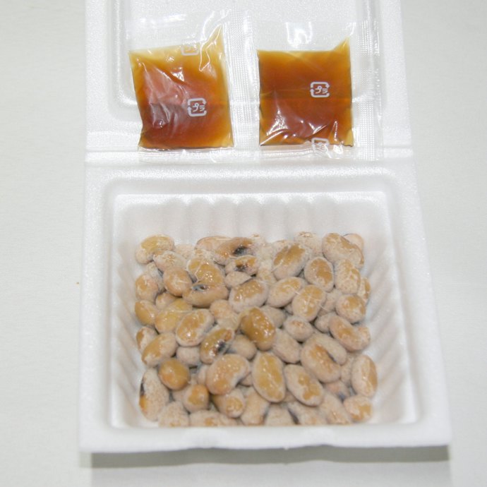 コスパや使い勝手重視なら、発泡スチロール入りが便利
