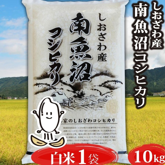魚沼市産?南魚沼産?さまざまなコシヒカリの生産地から選ぼう