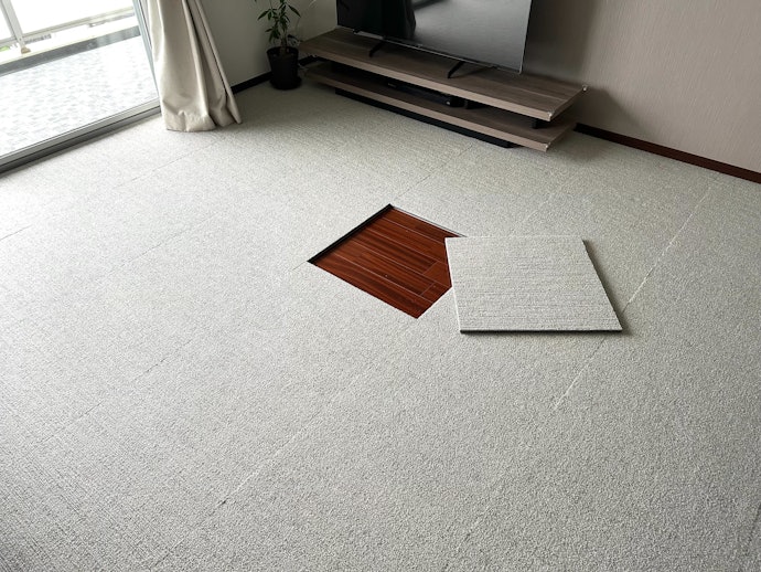 汚れたマットだけ外せるから、盛大に汚れたらお風呂場へGO!