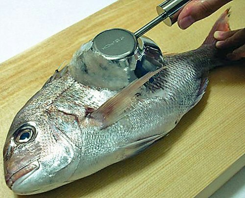 大きな魚でも飛び散りにくいものがよいなら、円形ブレードが狙い目