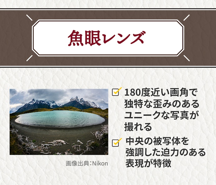 魚眼レンズ:空間を歪ませたユニークな写真を撮影したい人向き