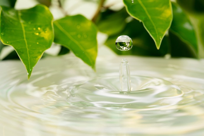 フケやかゆみが気になるなら、抗真菌成分や保湿成分配合のメンズシャンプーに注目