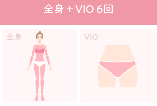 ①全身+VIO6回 蓄熱式