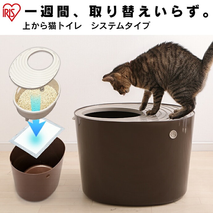 フタの穴が小さく、手が届きにくい