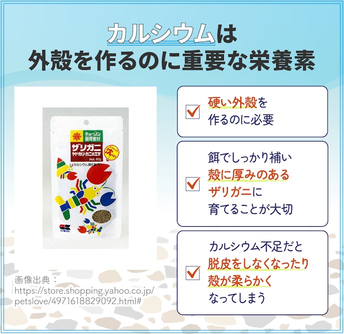 脱皮の前後・成長期には、カルシウムが配合されたものをチョイス