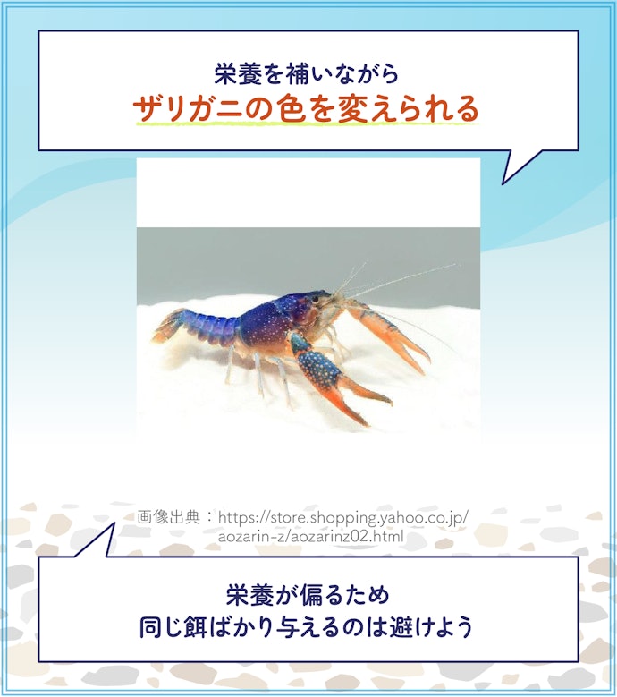 白や青いザリガニに育てるなら、専用の餌を検討しよう