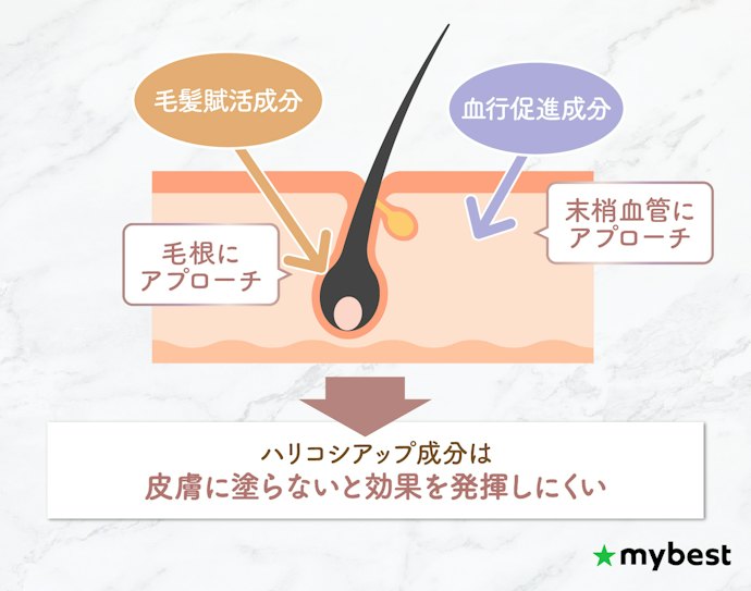 まつげのボリューム感をアップしたいなら、ハリコシアップ成分がおすすめ