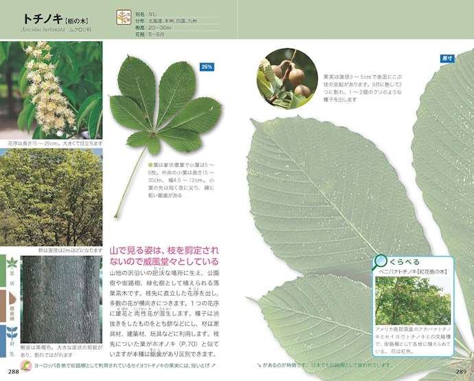 複合的に同定できる図鑑なら1年中大活躍