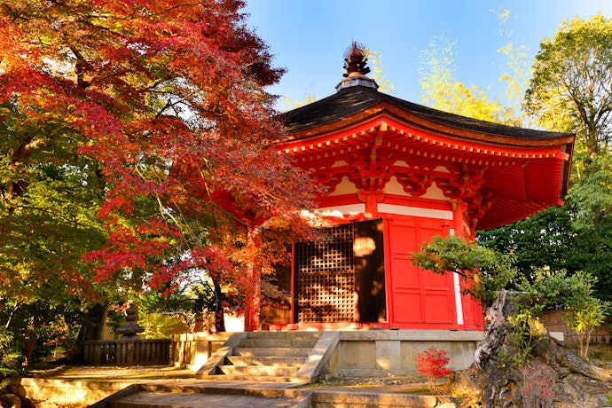お気に入りの寺社があれば、そちらで購入すると愛着が湧きやすい!