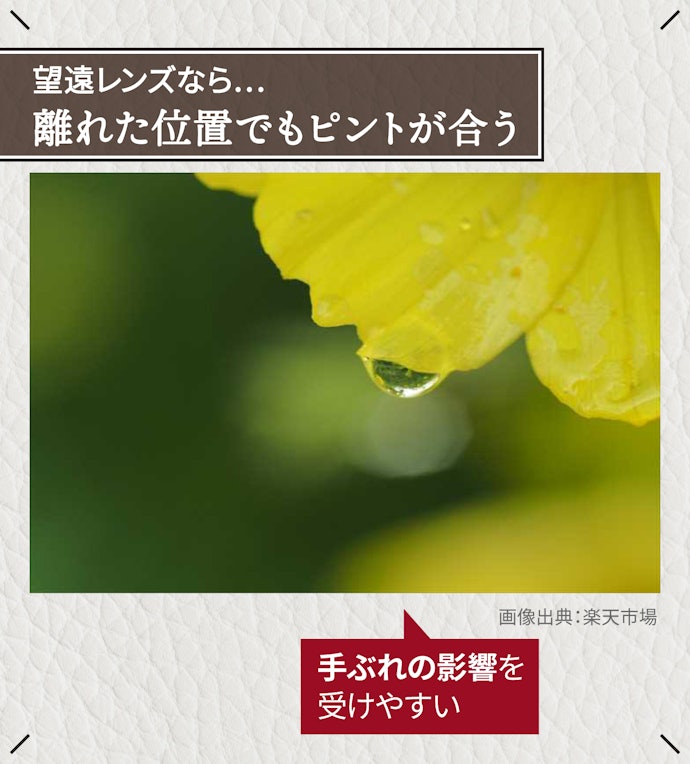 遠くの被写体を写すなら、望遠レンズがぴったり