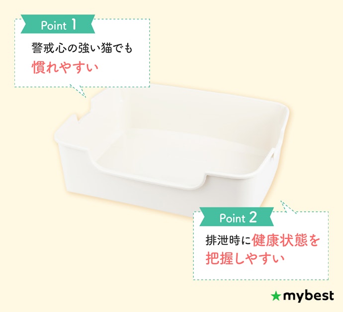 飼い始めの初心者にはオープンタイプがおすすめ