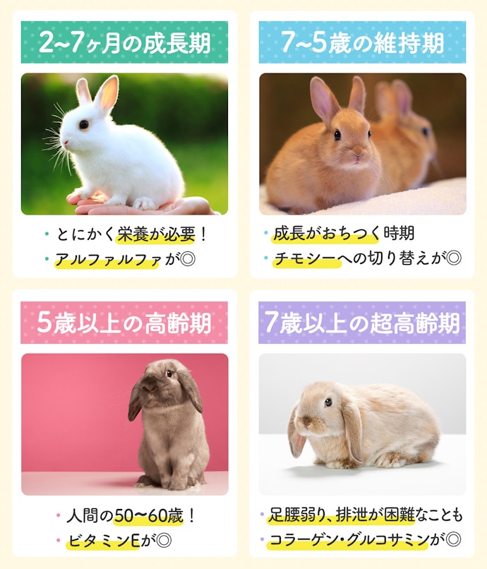 ライフステージ・体型に合わせた主原料がおすすめ。高齢期はサポート成分にも注目