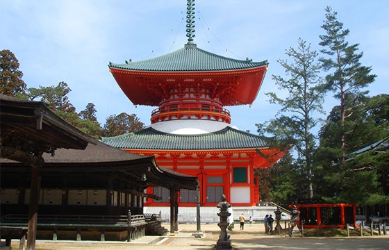 高野山エリアで荘厳な寺院やレトロな街並みを訪れよう