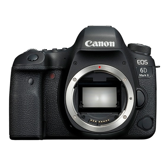 連写速度より画質を重視するなら、「EOS 6D Mark II」がおすすめ