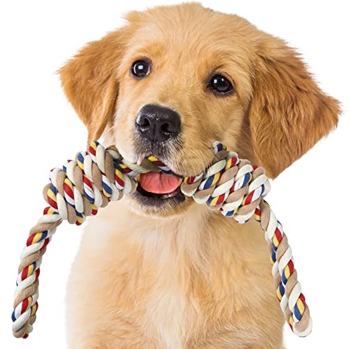愛犬とのコミュニケーションには、引っ張るおもちゃがぴったり