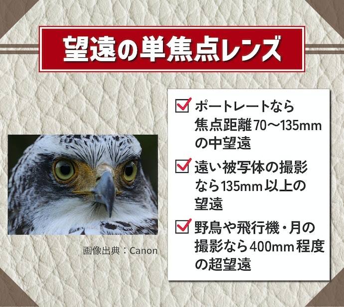 望遠単焦点:ポートレートや野鳥撮影にチャレンジしたい人は着目しよう