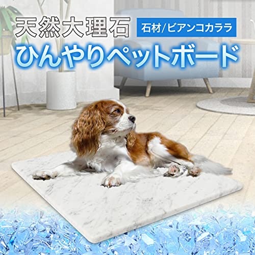 穏やかな冷却性で自然な冷たさのある大理石。体が冷えやすい小型犬にうれしい