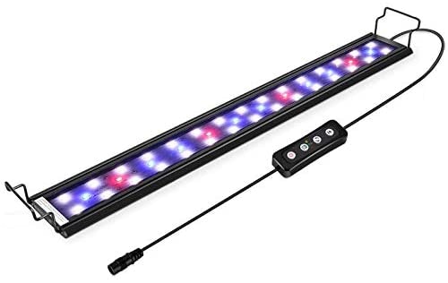 LED
