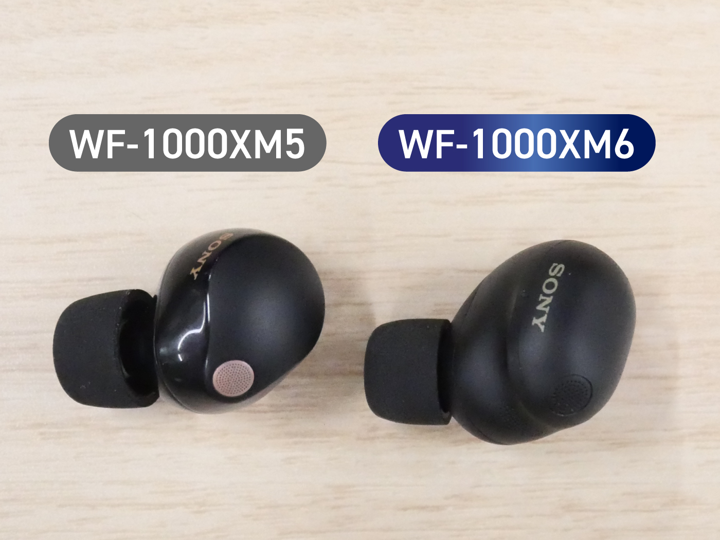2年ちょいでやっと出た】WF-1000XM6は前モデルと何が変わった？他社