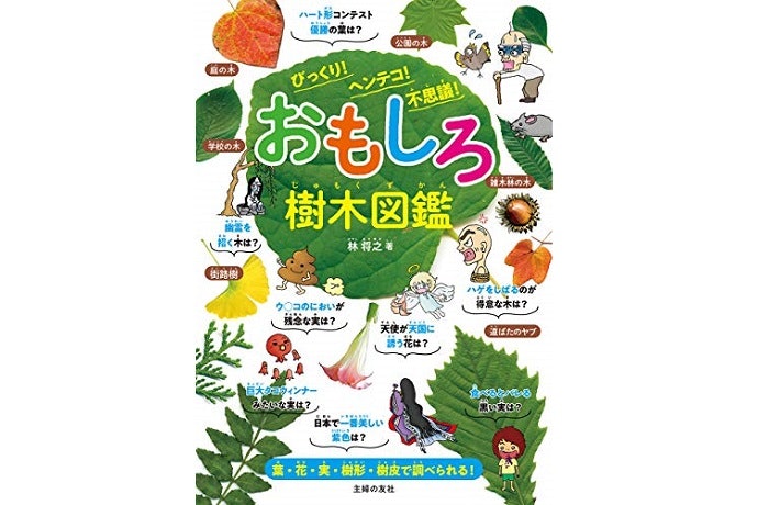 身近な樹木を見分けたい初心者には「子供用」がおすすめ