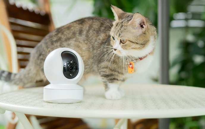 ペットや介護中の人の見守り専用なら、異変を察知しやすい