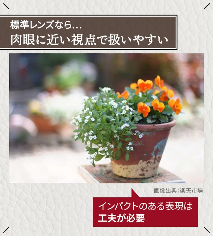 初心者は、幅広いシーンで使える標準レンズに注目