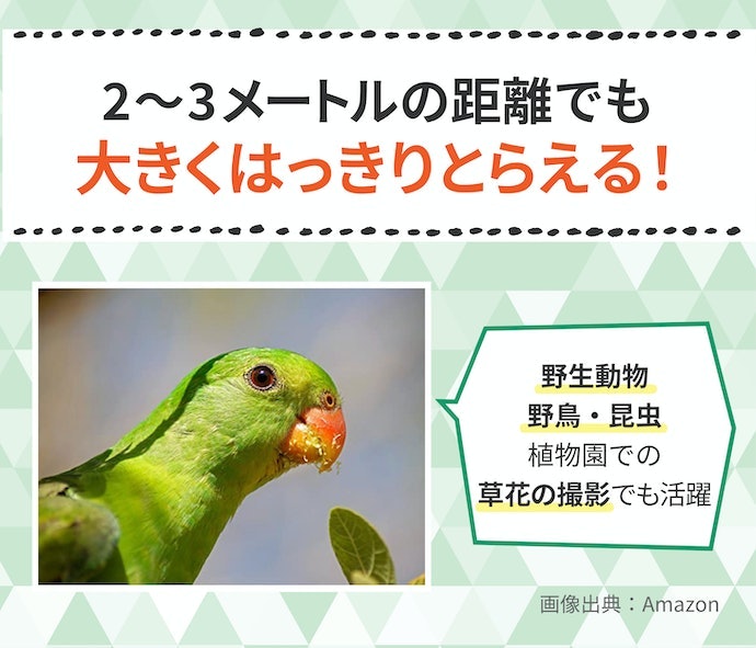 望遠マクロ(135~300mm):野生動物や野鳥の接写・風景撮影にもおすすめ