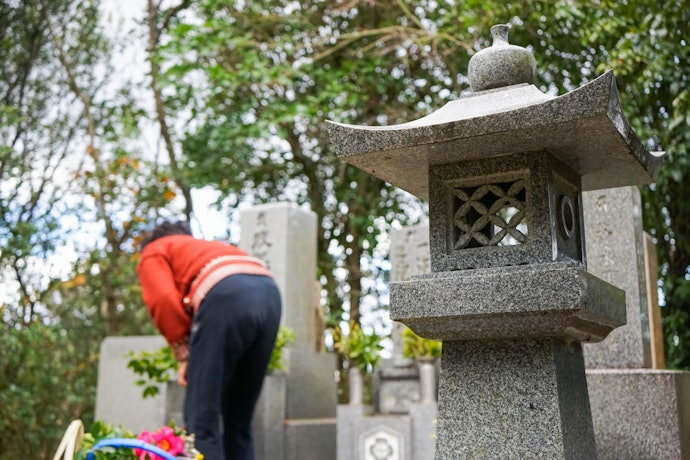 敷地内もきれいにしたいなら「雑草処理」対応の業者が便利