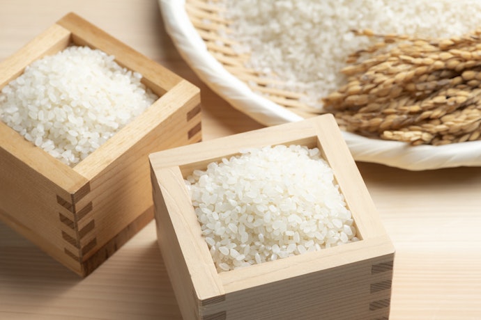 お米の消費量が多いなら、20~30㎏をチェック