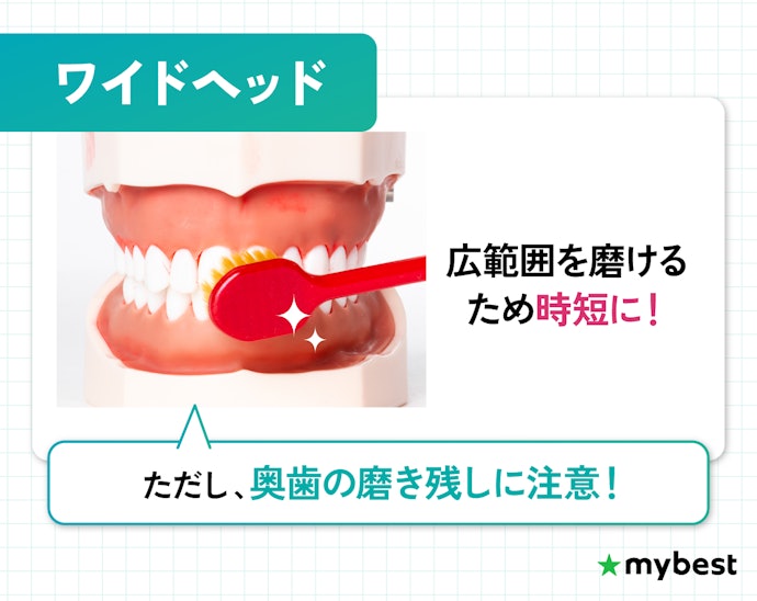 効率よく磨きたい人は、大きいヘッドもあり