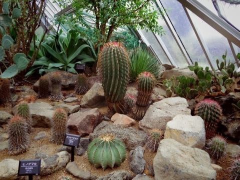 東伊豆エリア:温泉・テーマパークなどバランスよく楽しみたい人におすすめ