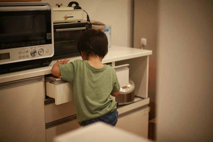 耐性がつきにくいホウ酸も選択肢に