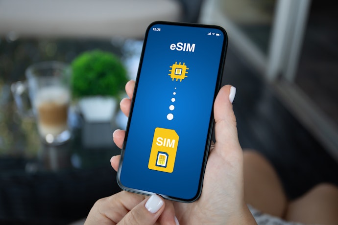 eSIMは申し込み受付メール受信後に切り替え開始