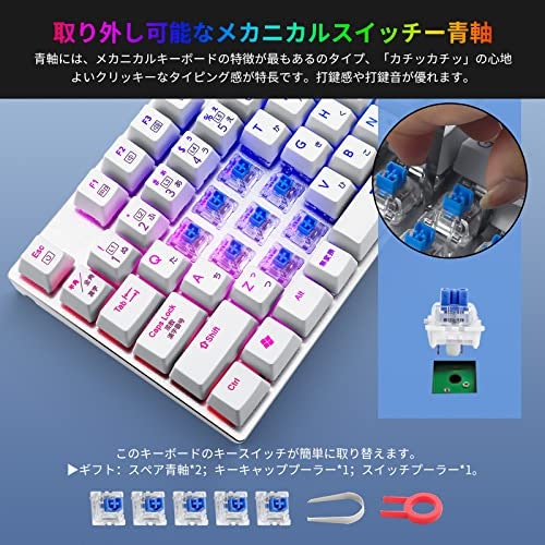 しっかりした打鍵感や明確なクリック音が好みなら、青軸をチョイス