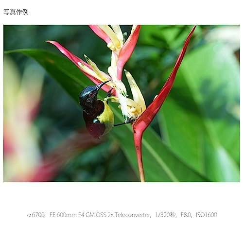 動きのある被写体を取るならAF性能がよいものを選ぼう