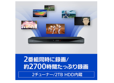 ディーガ:2番組同時録画できれば十分な価格重視の人にぴったり