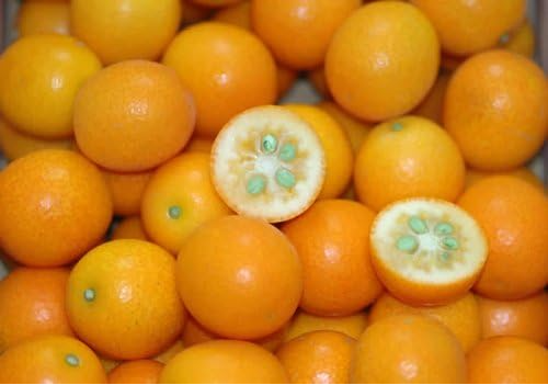 新鮮さを味わいたいなら、生の金柑がおすすめ