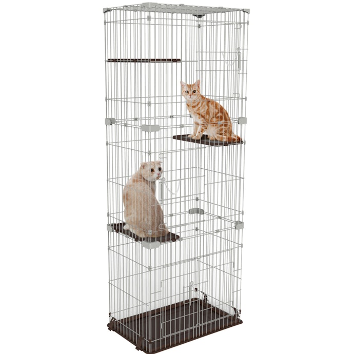 愛猫の体長や頭数に合わせてストレスのない広さを選ぼう