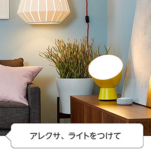 スマートスピーカーで操作したいなら対応可否をチェックしよう