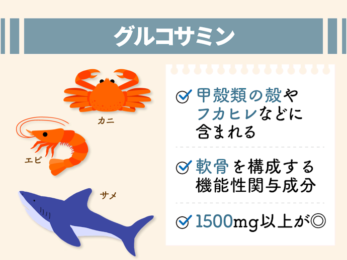 グルコサミン:軟骨を構成する成分