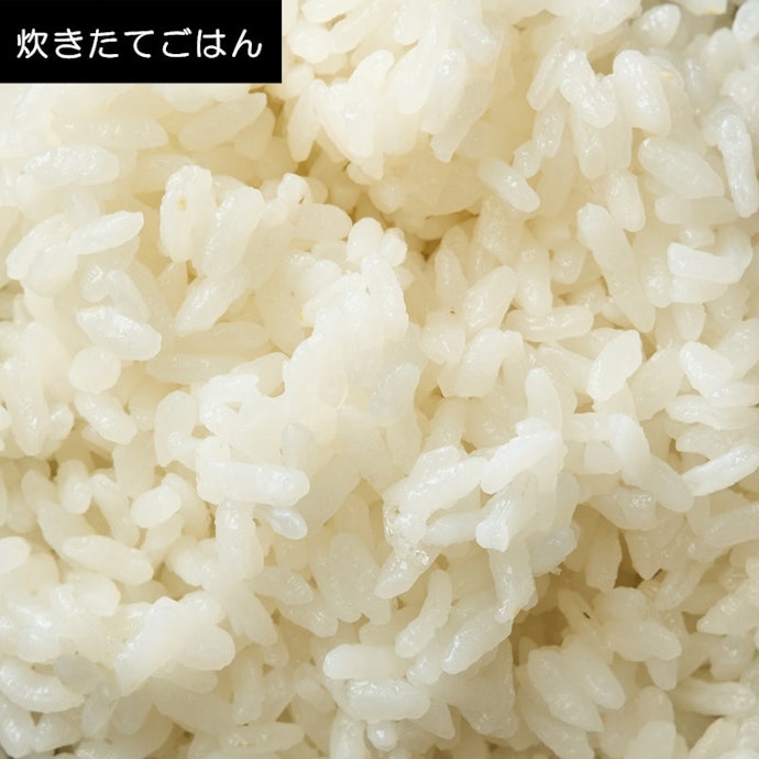 炊き立てはほんのりとお米の香りを感じる。粒感がありつつ、ちょうどよい粘り気もある