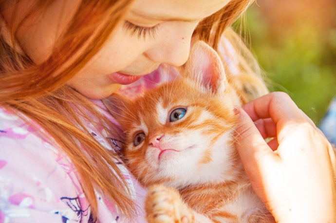 愛猫を抱きしめたくなるハートフルストーリー