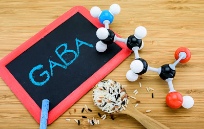 仕事や家事で忙しい人は、穏やかな毎日をサポートするGABAを試してみよう