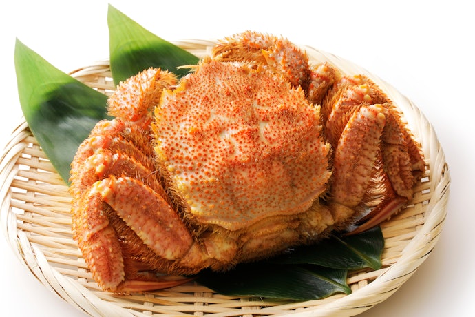 濃厚なカニ味噌も楽しみたいなら、毛ガニをチョイス