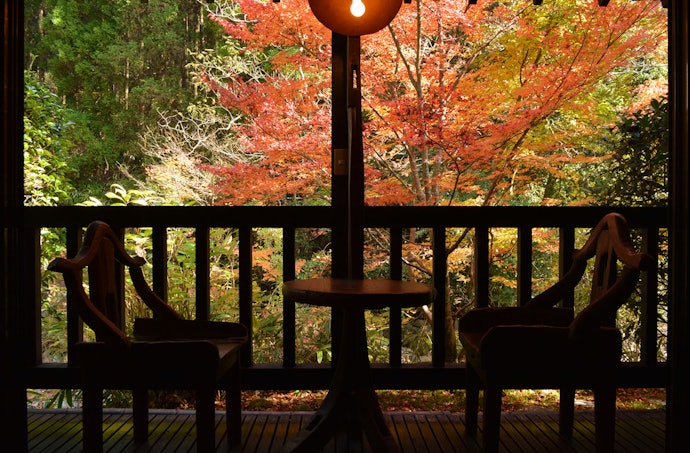 特別な旅行なら離れのある宿がぴったり。贅沢なひとときを味わえる
