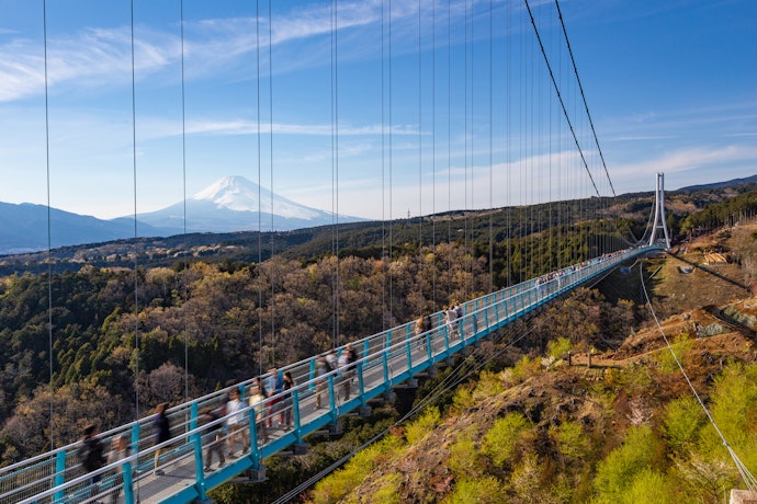 交通の便がいいところや三島大社を訪れたいなら、三島駅周辺がおすすめ