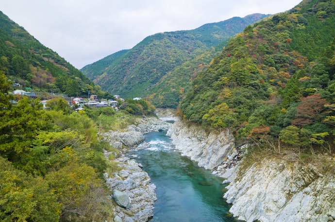 コクやうまみを楽しみたい人は、徳島県(吉野川)産に注目